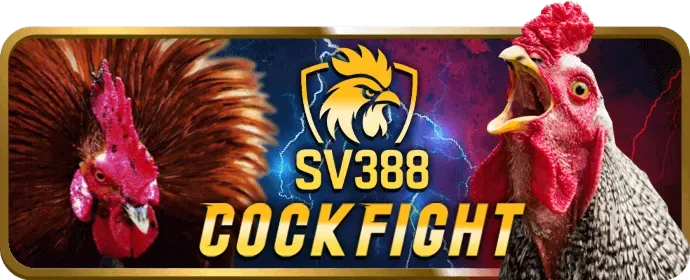 Quản lý vốn thông minh khi chơi slot365 game